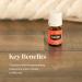 Ravintsara Essential Oil 5ml by Young Living - Soothing Eucalyptus Oil for Yoga Meditation & Healthy Skin | International Shipping - Buy Online on GoSupps.com