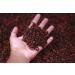 Kamelur 500g Organic Whole Cloves - Aromatic Organic Cloves No Additives - The Fragrant Spice - Buy Online on GoSupps.com
