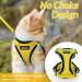 Rabbitgoo Cat Dishes & Soft Harness Set | No Breakout Cat Harness for Ultimate Comfort - Buy Online on GoSupps.com