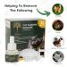 Daintry Cat Diffuser Pheromones No smell .Starter Kit - Buy Online on GoSupps.com