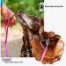 5m Magenta Towline Dog Leash for Small Dogs | Water & Dirt Repellent Hand Loop Design - Buy Online on GoSupps.com