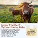 Organic Grass-Fed Beef Tallow Balm (4oz/5pack) - Whipped with Manuka Honey Ultra-Moisturizing for Face & Body Natural Skincare for Dry & Sensitive Skin 4 Fl Oz (Pack of 5) - Buy Online on GoSupps.com