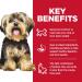 Hill's Science Diet Adult Small & Mini Chicken & Brown Rice Recipe Dry Dog Food 15.5 lb bag & Puppy Small & Mini Chicken Meal & Brown Rice Recipe Dry Dog Food 4.5 lb bag - Buy Online on GoSupps.com