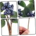 ABOOFAN 15 Pcs Artificial Berry Cuttings Christmas Faux Apples Fake Berries Green Garland Artificial Pine Picks Decor Xmas Tree Picks Blue Flowers Cherry Bean Sticks Iron Dark Bluex3pcs 18X7.5X3CMx3pcs - Buy Online on GoSupps.com