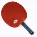 Palio Master 2.0 Table Tennis Racket & Case - ITTF Approved - Flared Handle for Intermediate Players - Buy Online on GoSupps.com