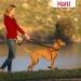 Halti Front Control Harness and Training Lead Combination Pack Stop Dog Pulling on Walks Includes Medium Front Control Harness and Double Ended Lead Black Model: 14326W Medium Harness - Buy Online on GoSupps.com