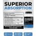 Renew Actives Magnesium Bisglycinate Supplement - 120 Capsules - Buy Online on GoSupps.com
