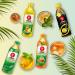 OISHI Green Tea Watermelon - Refreshing 380 ML Drink | Buy Online | International Shipping - Buy Online on GoSupps.com