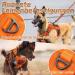 Rabbitgoo Adjustable Tactical Dog Harness for Small Dogs - Durable Anti-Train with Handles & Metal Buckles - Orange (Size S) - Buy Online on GoSupps.com
