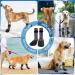 Qinlectri Dog Socks - Anti-Slip Waterproof Dog Boots with Adjustable Straps for Indoor & Outdoor Use - Large Size Paw Protectors - Buy Online on GoSupps.com