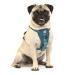 Kurgo Tru-Fit Dog Harness Crash Tested Car Seat Belt For Dogs 2 to 5 kg Size S Ink Blue Ink Blue S