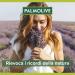  Palmolive Palmolive Memories of Nature Sunset Relax Handkerchief with a delicate dermatologically tested formula for soft skin and fragrance that brings you back to lavender fields 6 x 250 ml - Buy Online on GoSupps.com