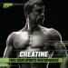 MusclePharm Essentials Creatine Monohydrate Powder | Ultra-Pure Pre & Post Workout Supplement | 60 Servings Unflavored for Enhanced Muscle Building & Recovery - Buy Online on GoSupps.com