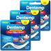 Dentemp Maximum Strength Loose Cap and Lost Filling Repair - Dental Repair Kit for Instant Pain Relief (Pack of 3) - Temporary Filling for Tooth - Long Lasting Tooth Filling