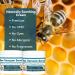Beevenom New Bee Venom Professional Gel Bee Venom Cream New Propolis Professional Gel Joint Cream of Neck Knee Shoulder Waist Leg 4 Fl Oz (Pack of 1) - Buy Online on GoSupps.com