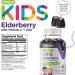 Sugar Free Sambucus Black Elderberry Gummies for Kids - Immune Booster with Vitamin C & Zinc - Vegan & Gluten Free - Berry Flavored Chewables - Buy Online on GoSupps.com