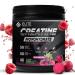 Elite Wellness Berry Flavor Creatine Monohydrate with Organic Beetroot Supplement - Supports Muscle Strength Stamina Cognitive Function & Athletic Performance Gluten & Dairy Free NSF Qualified