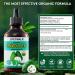 2 Fl Oz Organic Soursop Extract Drops - Graviola Leaf Extract Liquid (Soursop) - Soursop Guanabana Leaves Liquid Aour Sop Drops - 98% Absorption - 2 Fl Oz(60ML - Buy Online on GoSupps.com