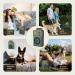 Bubbacare Anti Bell Device for Dogs - Ultrasonic Anti-Bell Remedy 3 Modes 50-Foot Range - Safe for Small & Large Dogs Indoors & Outdoors - Color 62 - Buy Online on GoSupps.com