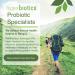 Hyperbiotics Vegan Prebiotics + Probiotics for Adults - 60 Billion CFU, 60 Count | Digestive & Immune Support Supplement - Buy Online on GoSupps.com