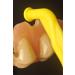 Buy Dental Prosthesis - Dent Olifter & Dentur Elifter Long | International Shipping Available - Buy Online on GoSupps.com