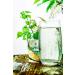 Common Birch Leaf Tea | Feuille De Bouleau Tisane | Folium Betulae | Health Embassy (100g) - Buy Online on GoSupps.com