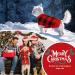 Abrrlo Christmas Dog Sweater - Warm Red-Black Checkered Sweater for Small & Medium Dogs - Buy Online on GoSupps.com