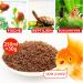 EWL Natural Products Red Mosquito Larvae 250ml - High-Quality Fish Feed for Aquariums | German Provider | 30g Pack - Buy Online on GoSupps.com