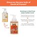 South of France Foaming Hand Soap 8oz - Orange Blossom Honey 3-Pack - Buy Online on GoSupps.com
