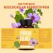 Braineffect Hormone Balance | Premium PMS & Menopause Capsules | Natural Cycle Regulator | No Monk Pepper | Botanicals Vitamin B6 & Magnesium | 3-Month Supply 3-Pack - Buy Online on GoSupps.com