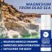 STIRLING Menthol Roll On Lotion with Magnesium & 1500mg Pure Hemp | Non-GMO THC-Free Pain Relief for Sore Muscles & Joints - Reduces Swelling & Promotes Recovery - Buy Online on GoSupps.com