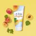 St. Ives Acne Control Face Scrub - Oil-Free Salicylic Acid Medication for Smooth, Glowing Skin - 100% Natural Exfoliants - 6 oz (Pack of 4) - Buy Online on GoSupps.com