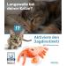 Pettec Interactive Cat Toy - Electric Movable Lobster with Catnip | Self-Employment & Automatic Play for Cats - Buy Online on GoSupps.com