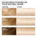 L'Oreal Paris Feria 11.11 Icy Blonde Permanent Hair Color - Ultra Cool Blonde Dye - Buy Online on GoSupps.com