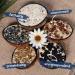 Lyra Pet 3 x 10 Filled Coconut Halves | High Fat Bird Food | Coconut with different toppings - Buy Online on GoSupps.com