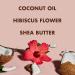 SheaMoisture Coconut & Hibiscus Kids Detangler 8oz (Pack of 2) - Moisturizing Anti-Frizz Spray for Thick, Wavy Hair - Buy Online on GoSupps.com