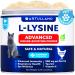 L-Lysine for Cats - Lysine Powder Supplement - 900mg/serving - Immune Support for Cats & Kittens - Sneezing, Runny Nose, Squinting, Watery Eyes, Cold, Eye Function, Respiratory Health - with Taurine White L-Lysine
