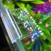 J-star 6 Pcs Acrylic Aquarium Clips for Rimless Tanks - Glass Lid Support Holders - 10mm Transparent Fish Tank Clips - Buy Online on GoSupps.com