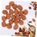 Alipis 20pcs Faux Fruit Decor Walnut Ornament Photo Props Walnut Artificial Food Fake Fruit Walnut Background Pretend Play Food Figure Lifelike Nut Ornament Wedding Birthday Present - Buy Online on GoSupps.com