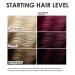KERACOLOR Kit of 3-in-1 (Cleanse + Conditioner + Color) Merlot Semi-Permanent Hair Dye and Finishing Hair Spray 10oz - Buy Online on GoSupps.com