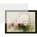 100 Soft Off-White Translucent 17# Thin Sheets - 4" X 6" (4X6 Inches) Photo|Card|Frame Size - 17 lb/Pound Light Weight Fine Quality Paper - Tracing  Fun or Formal Use - Not a Clear Transparent 4x6 - 100 Sheets - Buy Online on GoSupps.com