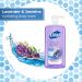 Dial Lavender & Jasmine Body Wash - 23 fl oz (Pack of 3) | Refreshing & Moisturizing - Buy Online on GoSupps.com