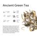 TRAVIET Luxury Tea Gift Set - English Breakfast & Ancient Green Tea Collection for Tea Drinkers - Buy Online on GoSupps.com