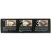 Instant Eye Shadow Honey Shade 5 Count - Easy and Quick Eye Makeup Solution - Buy Online on GoSupps.com