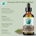 Bella Terra Oils - Hemp Seed Oil 4 oz - Dive into the World of Linoleic Acid & Alpha-Linolenic Acid Packed with Essential Vitamins Perfect for Cosmetic Elixirs 4 Ounce - Buy Online on GoSupps.com