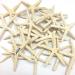 PEPPERLONELY 25pcs White Natural Finger Pencils Starfish 5 7.6cm 6# 5.1cm 7.6cm