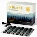 Comprim s De Shilajit Originel 120 Comprim s 400 Mg Par Portion R sine De Shilajit Pure Riche En Acides Fulviques Et Humiques 100% Pur 120 unit (Lot de 1)