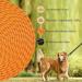 Buy Aystkniet 30m Bungee Tow Leash for Medium & Large Dogs - Shock-Absorbing Padded Handle Reflective Lockable Hooks - Perfect for International Shipping - Buy Online on GoSupps.com