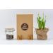 Vietbeans trial set - Four exciting types of coffee for coffee lovers - gift set - 4 exclusive coffee specialties - coffee gift ... (ground coffee) chocolate 320 g (1 Pack)