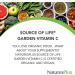 Organic Vitamin C - Nature's Plus Source of Life Garden | 60 Vegan Capsules - Buy Online on GoSupps.com